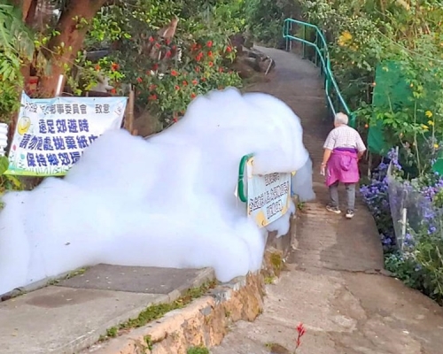 網民指小夏威夷徑一帶再出現不明泡沫。