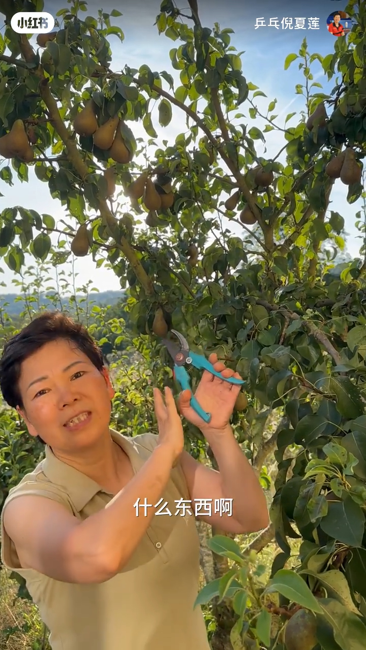 倪夏蓮家中的花園面積幾乎達一個小山頭咁大。