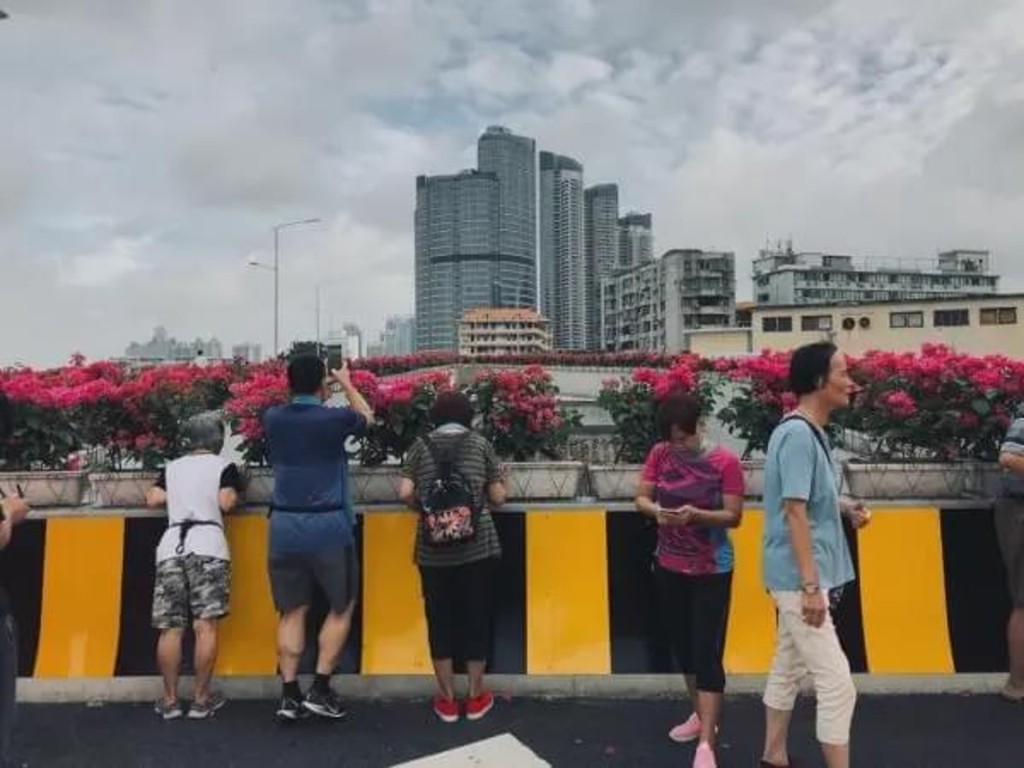 「海珠之眼」成打卡熱點。微博圖