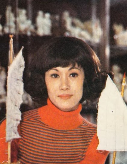 白茵70年代加入麗的映聲（麗的電視前身）後展開拍劇生涯。
