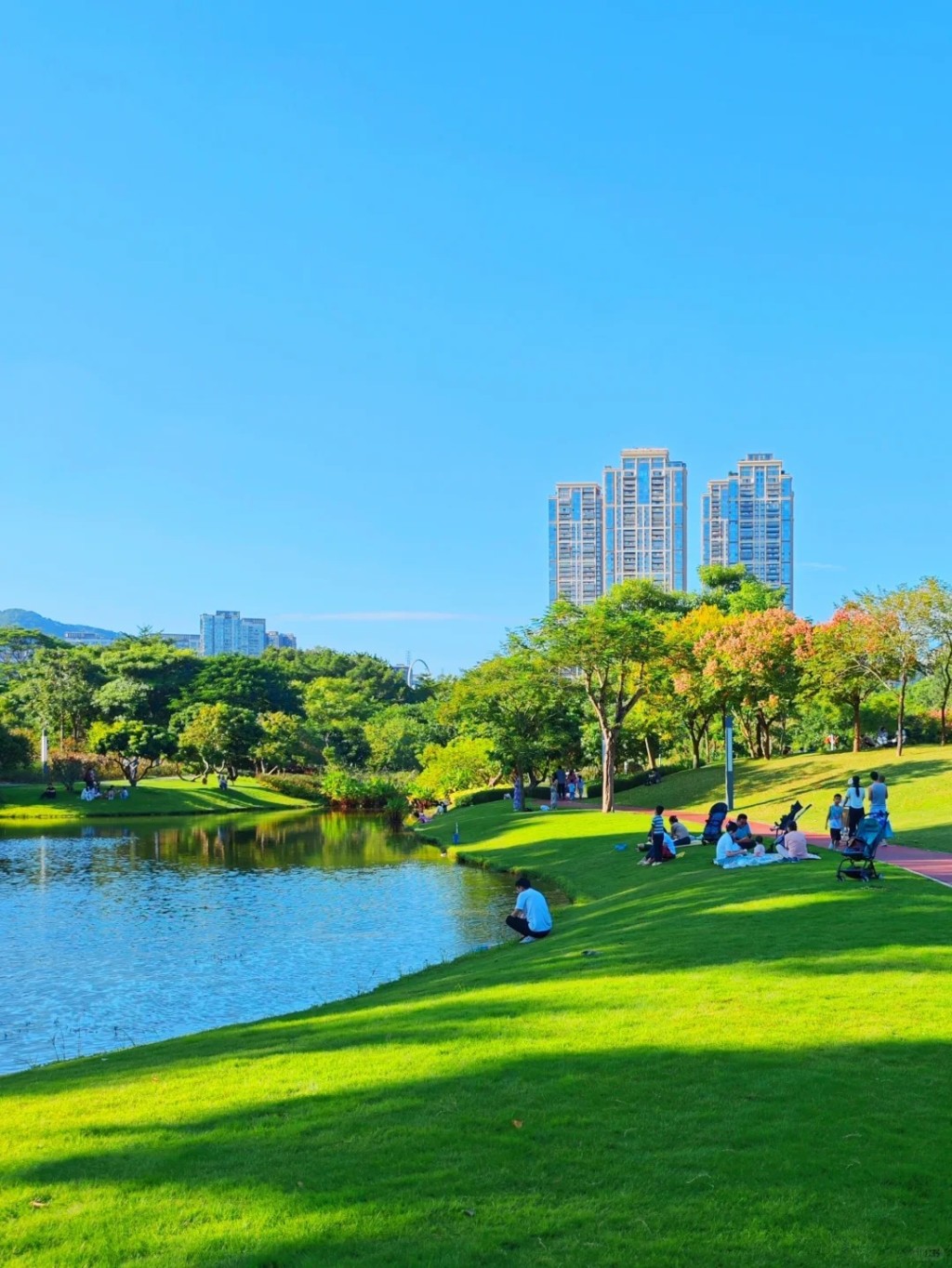 蓮花山公園位於福田區的一座小山丘，只有海拔106米，非常容易登頂，而且更設大草地及大型人工湖（圖片來源：小紅書@嘻嘻塵）