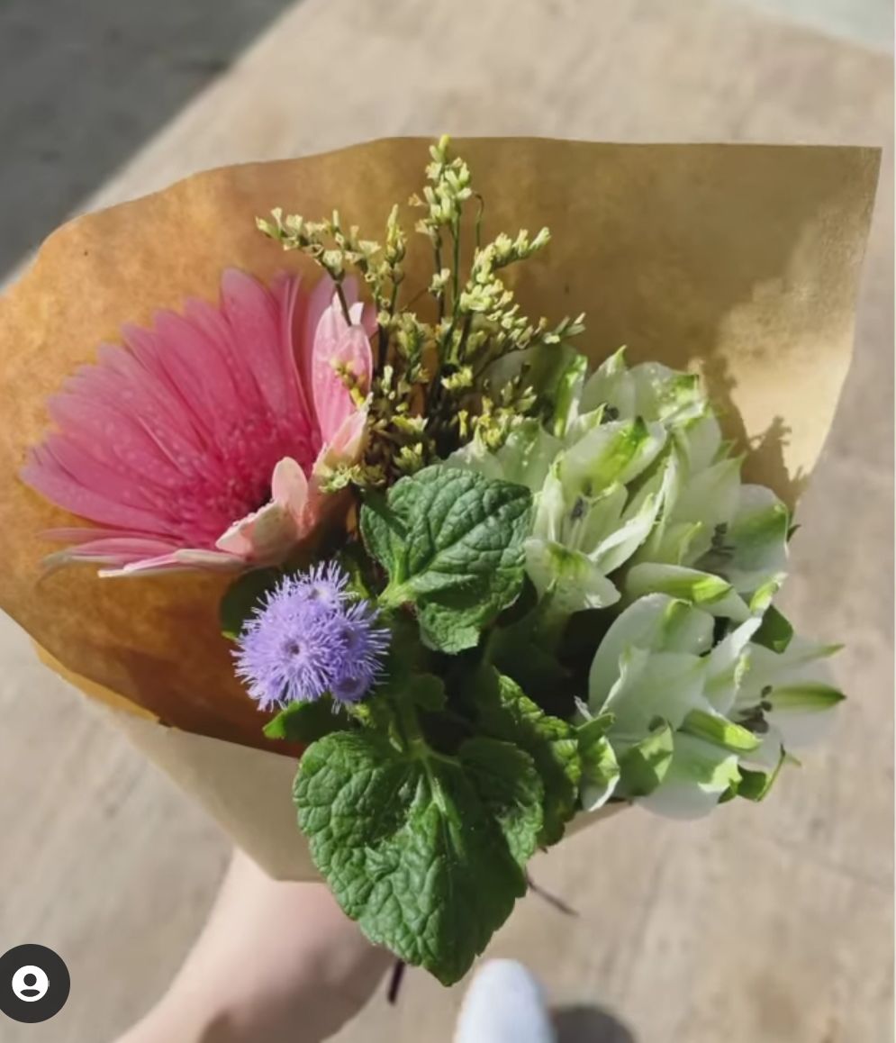 太陽花寓意自強不息,帶給人一種樂觀勇敢,正好帶出苟姑娘嘅訊息。
