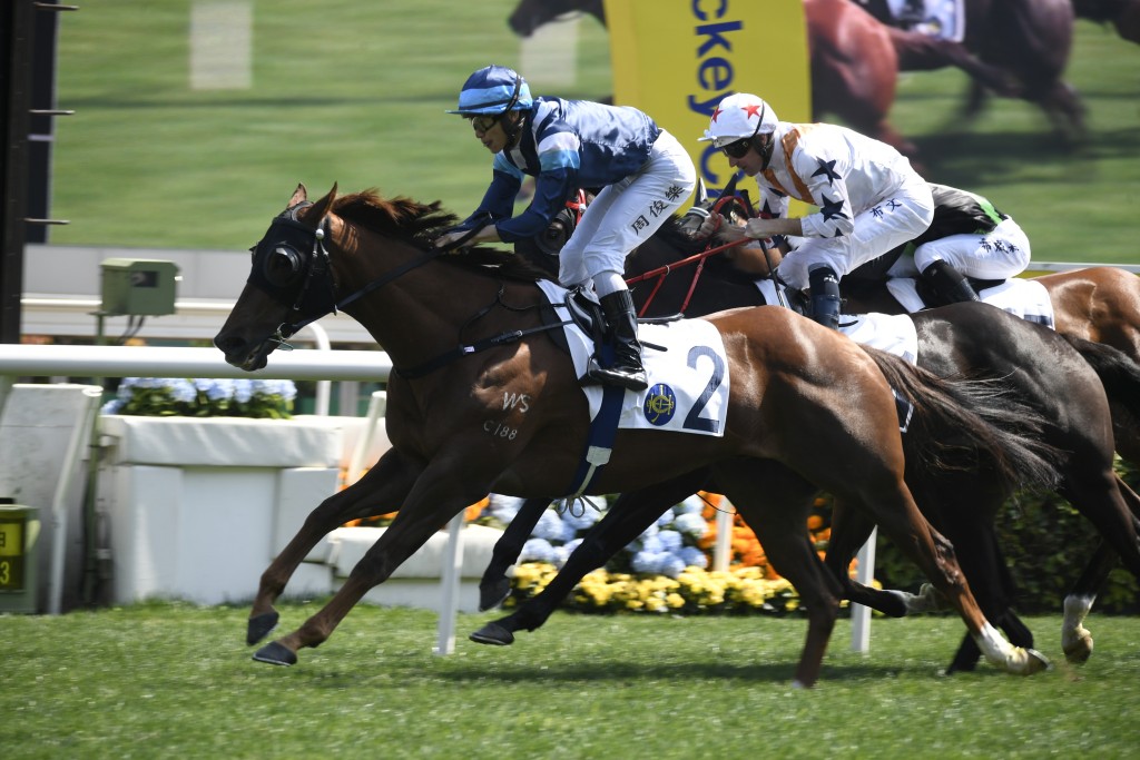 「韋小寶」季內曾在二級賽及三級賽中跑入位置，至今四十三戰九捷。