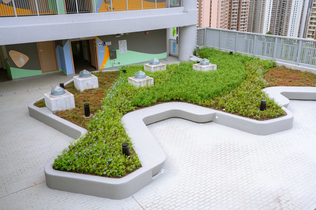 地下設垂直植生牆,旁為園圃石徑,綠化元素融入校園。(圖:受訪學校提供) 地下設垂直植生牆,旁為園圃石徑,綠化元素融入校園。(圖:受訪學校提供)