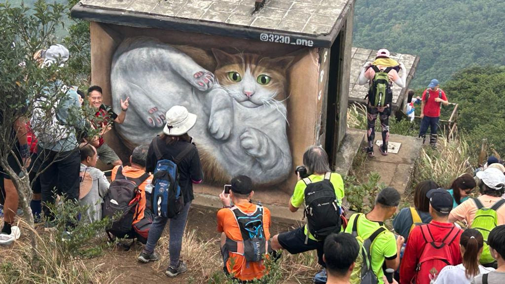 俄罗斯涂鸦艺术家Vladimir为公众所熟识的作品，便是在大帽山「猫屋」，吸引大众行山友冲破地政总署围封到场打卡。