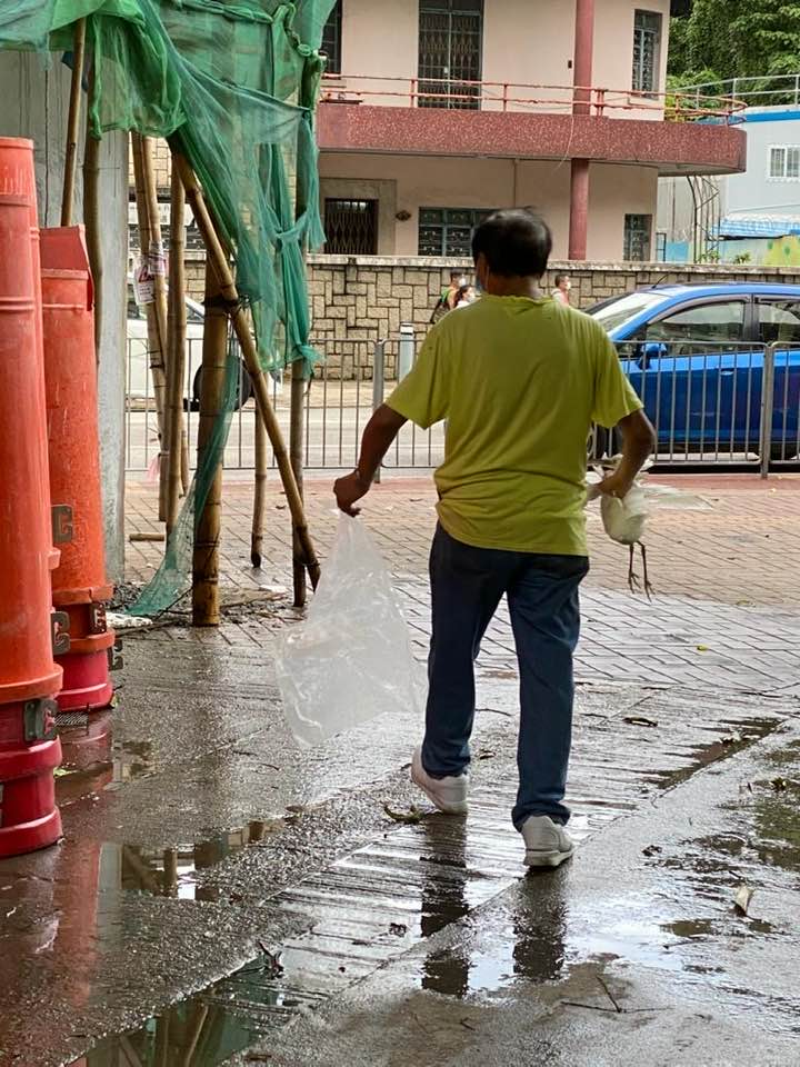 網民Stanley Fung圖片