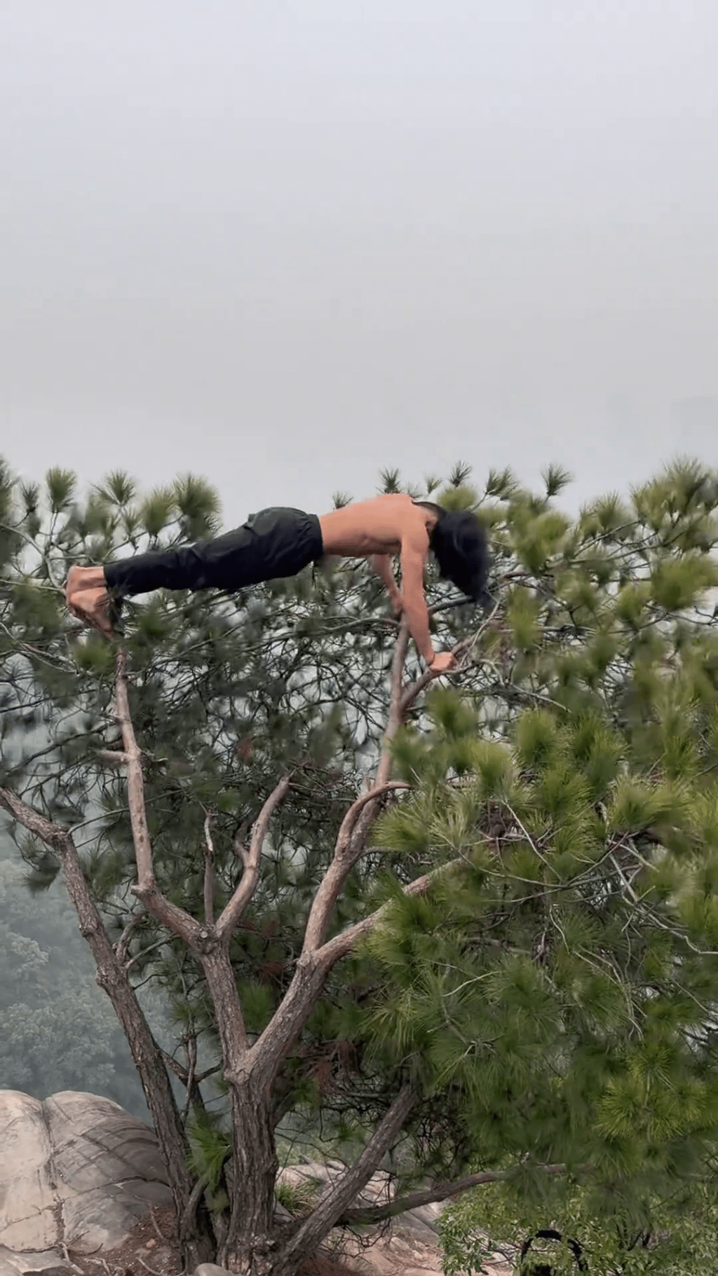 重慶南山虛靈峰，赤膊男子峭壁樹上做「掌上壓」。