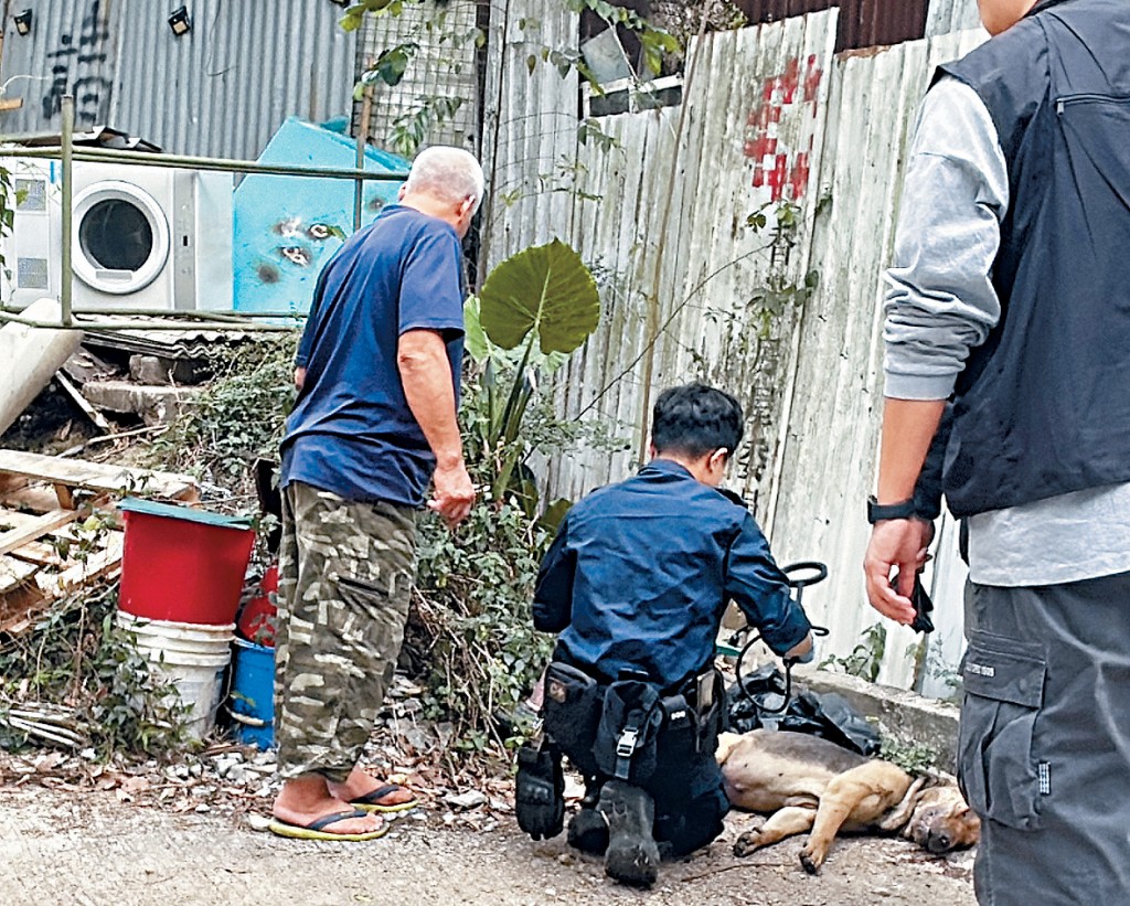 今年4月，上水一名飼養十多隻狗的男村民亦報稱其中四隻愛犬死亡、兩隻失蹤，懷疑遭人下毒。資料圖片