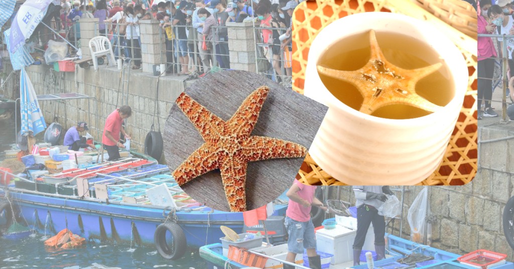 《中國藥用動物志》上清楚列明海星是「有小毒」，不建議用於家居滋補。資料圖片