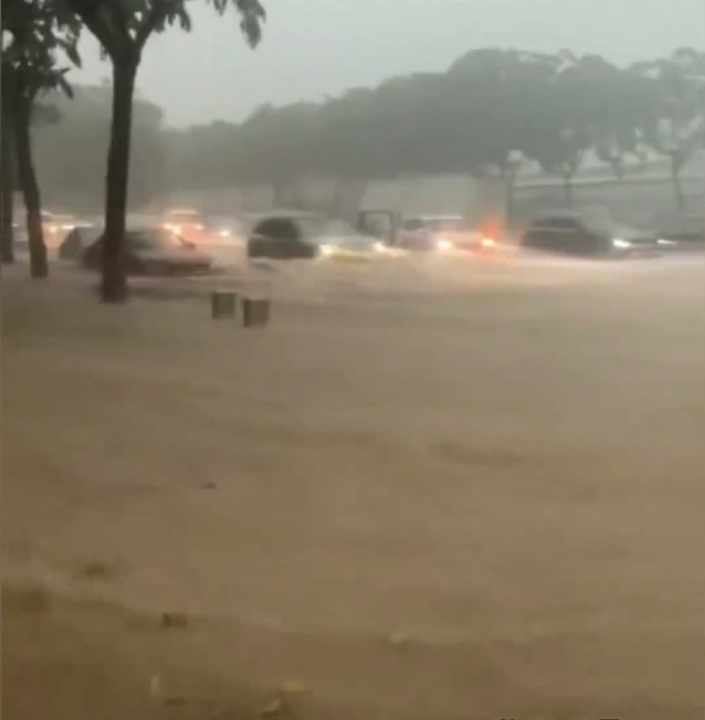 东莞暴雨，多处水浸街。