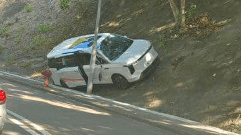 七人車失控剷上山坡,擱於燈柱旁。網上圖片