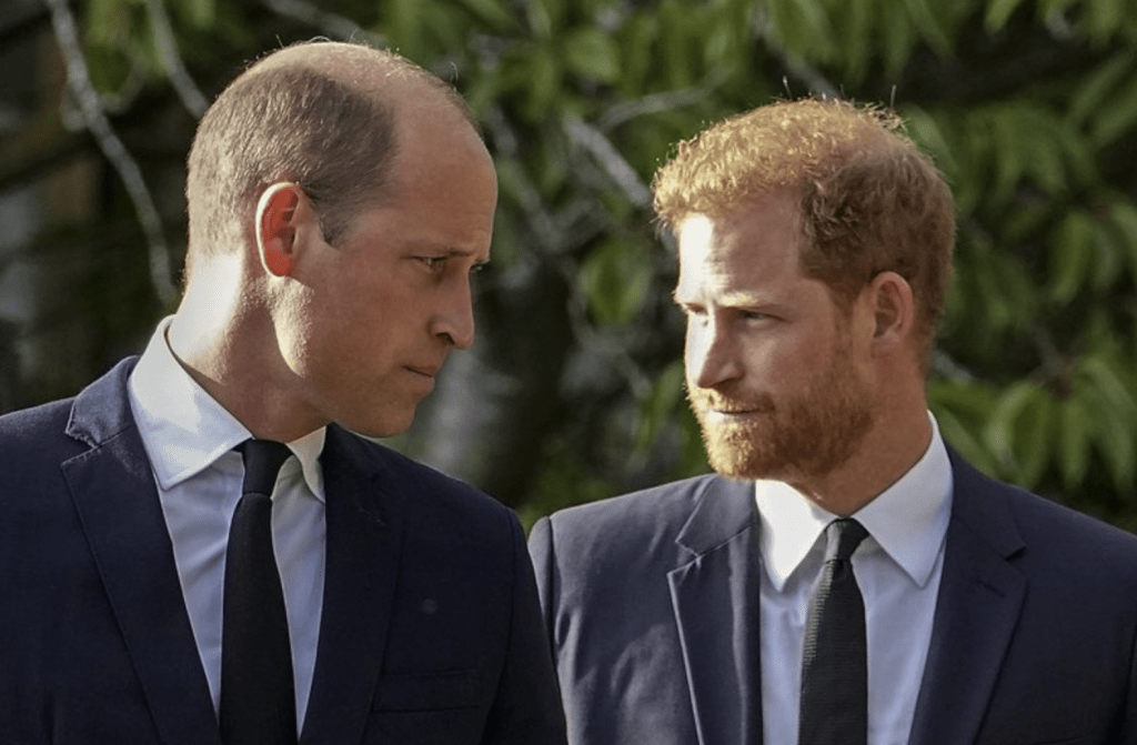 哈里在自傳《備胎》(Spare)中披露,他曾與哥哥威廉王子(Prince William)因梅根的「粗魯」和「咄咄逼人」行為發生爭執。 哈里在自傳《備胎》(Spare)中披露,他曾與哥哥威廉王子(Prince William)因梅根的「粗魯」和「咄咄逼人」行為發生爭執。