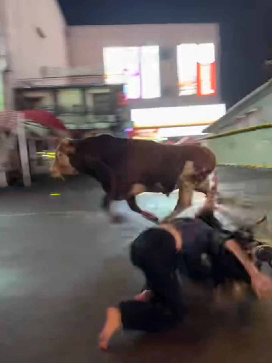 湖南長沙地鐵口有黃牛受驚狂奔，3名途人遭撞到飛起。抖音