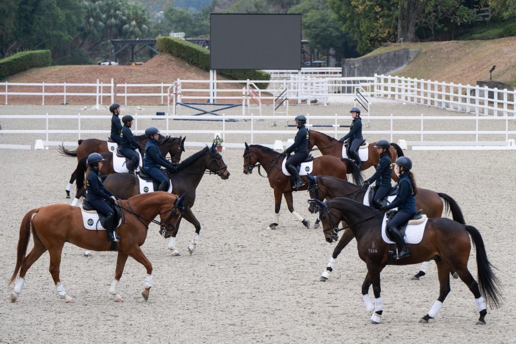 八匹參加「馬會退役賽駒駿展新生計劃」的馬匹，將於浪琴香港國際馬術盛典進行音樂騎術表演。公關圖片