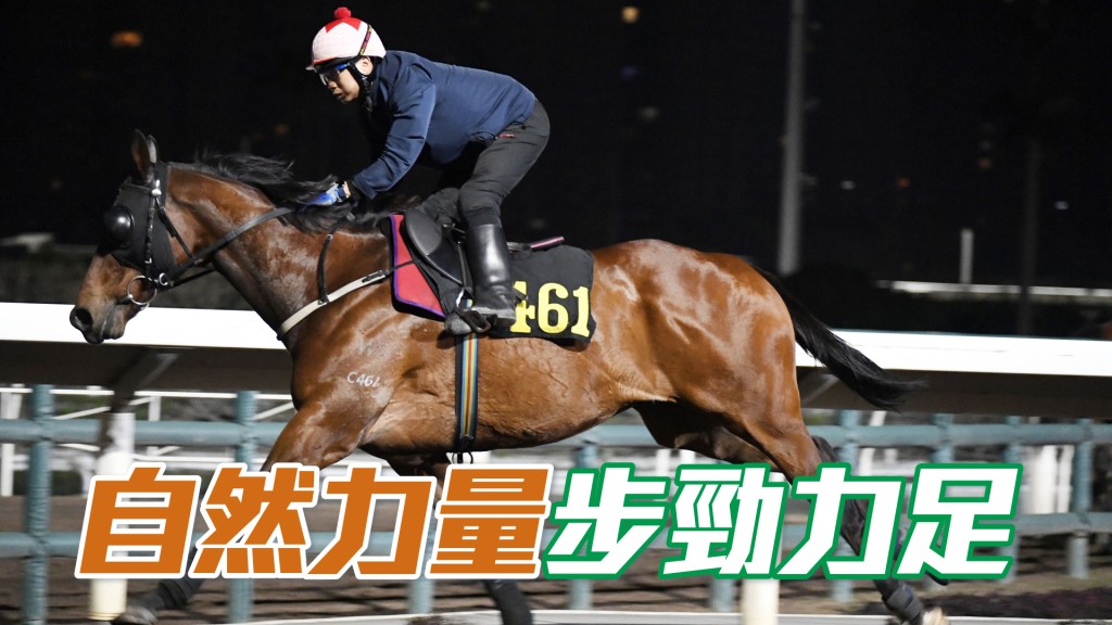 「自然力量」出腳步勁力足，狀態一直在上佳水平。