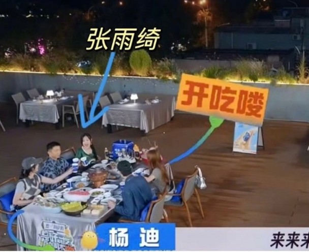 不过未知是否受代孕风波影响，最近有网民发现在综艺节目《是好朋友的周末》最新一集的画面中，张雨绮的特写镜头全部被删走，只保留了一些远景镜头。