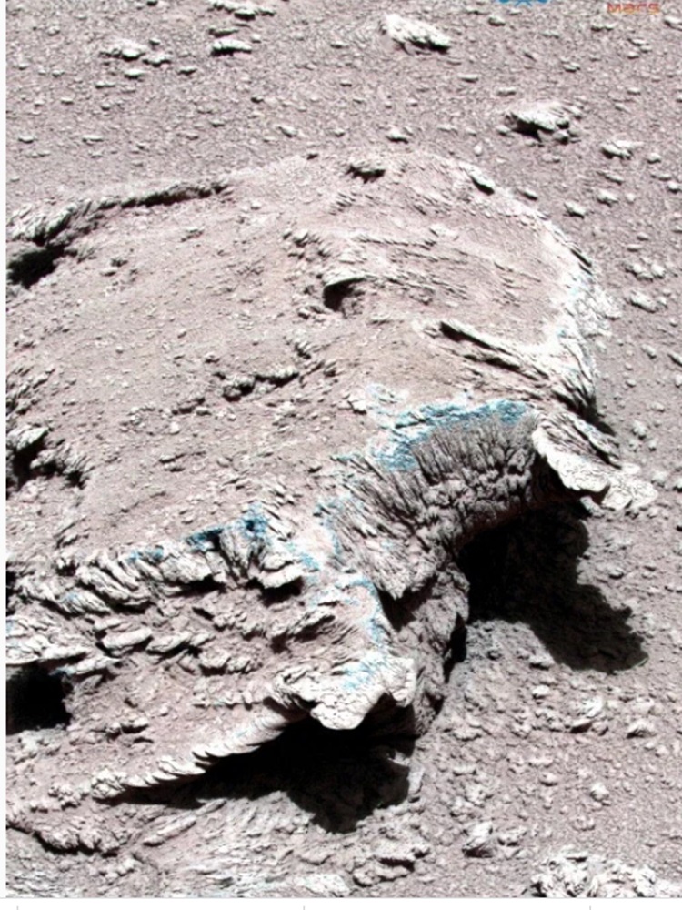 祝融號傳回多張火星地照。網圖