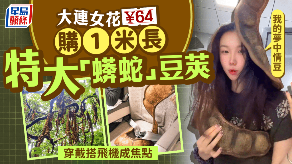 夢中情豆｜女子¥64購1米長巨豆莢 雲南搭機回大連成焦點｜有片