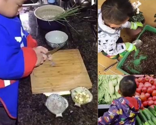 四川樂山一位3歲小男孩買菜、煮飯、種植盆栽,小小年紀做起事來有板有眼,得到網民一片稱讚。(網圖)