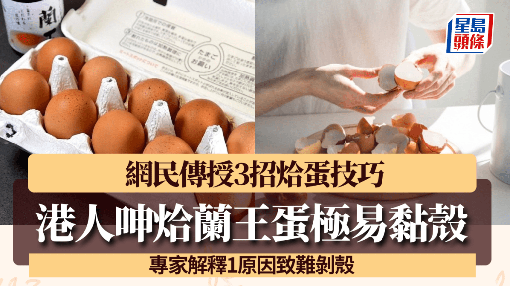 烚蘭王蛋難剝殼？港人崩潰呻「開始唔想食…」 網民傳授烚蛋不黏殼技巧