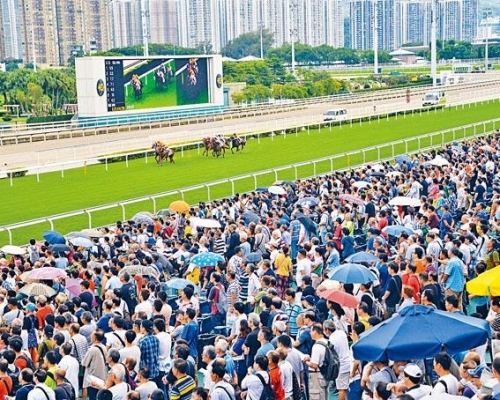 馬會高度重視事件將審視保安措施。 資料圖片
