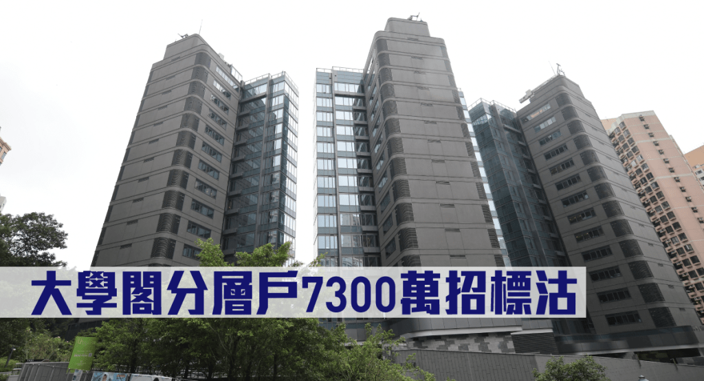 大學閣分層戶7300萬招標沽。