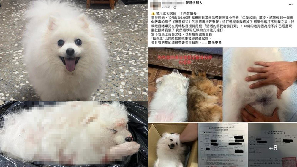 台灣男子在公園遛狗時受襲,其松鼠狗遭男子用伸縮棍活活打死。