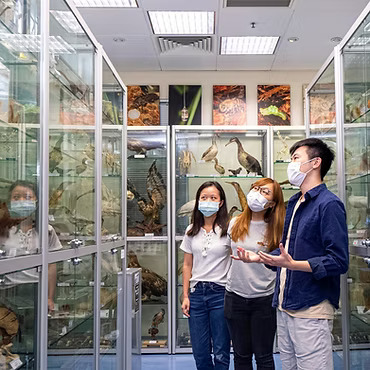 生物多樣性知識:專業人士分享的科學故事將參加者與生物多樣性聯繫起來。(圖片來源:香港生物多樣性博物館) 生物多樣性知識:專業人士分享的科學故事將參加者與生物多樣性聯繫起來。(圖片來源:香港生物多樣性博物館)
