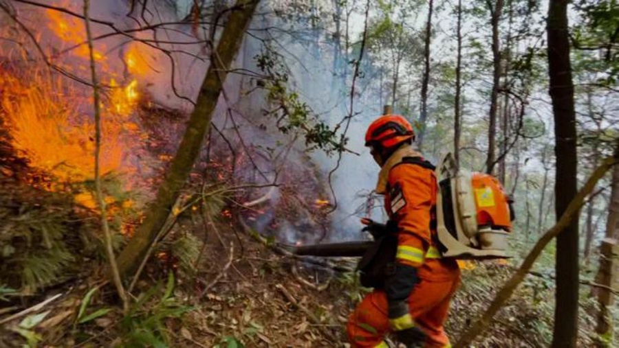 多個部門共出動500多人撲救。新華社/雲南森林消防