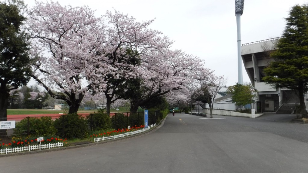 案發現場是三澤公園。橫濱市旅遊官網 案發現場是三澤公園。橫濱市旅遊官網