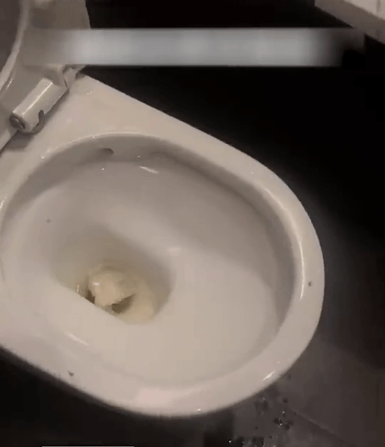 田樸珺拍片顯示，酒店的馬桶沒有清洗。