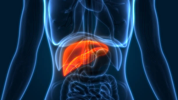 求医后发现肝脏指数异常。（iStock图片）