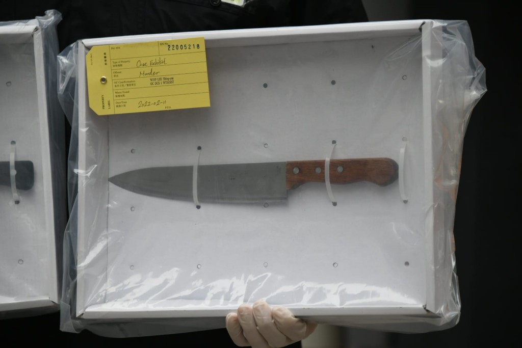 警方於單位內檢獲菜刀及牛肉刀。