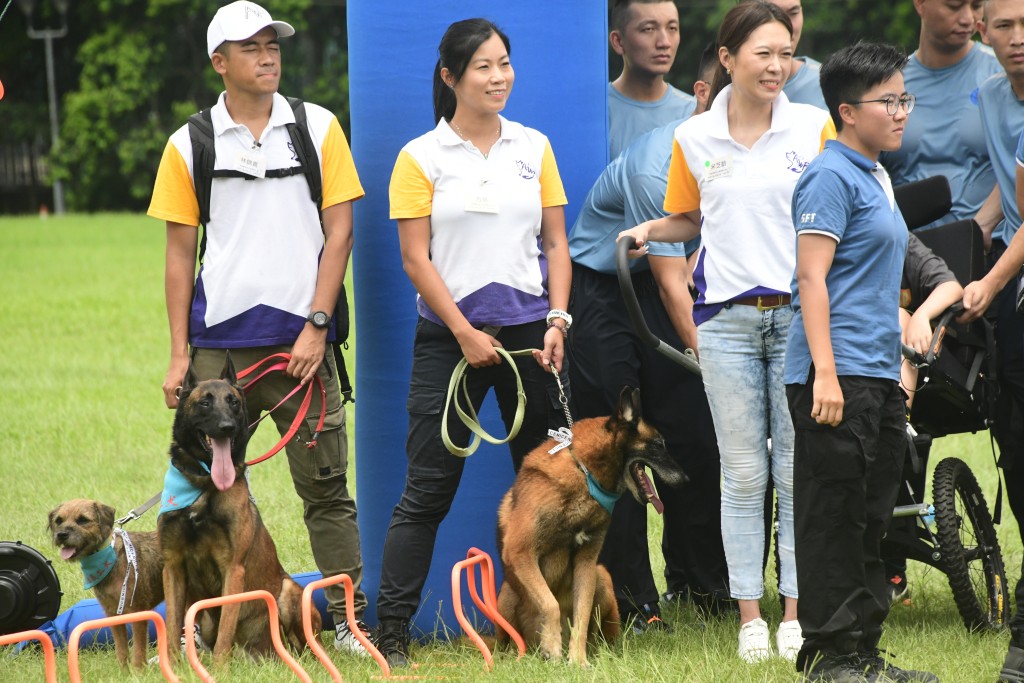 退休警犬和馬蓮萊犬幫助學生完成一個為期10 星期的訓練班，教授學生如何訓練和愛護犬隻，繼而加強其愛護動物的意識。