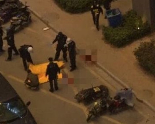 男子住所墮樓亡。網上圖片