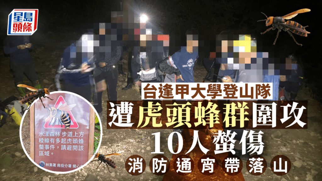 台逢甲大学登山队遭虎头蜂围攻，6女4男受伤送院。