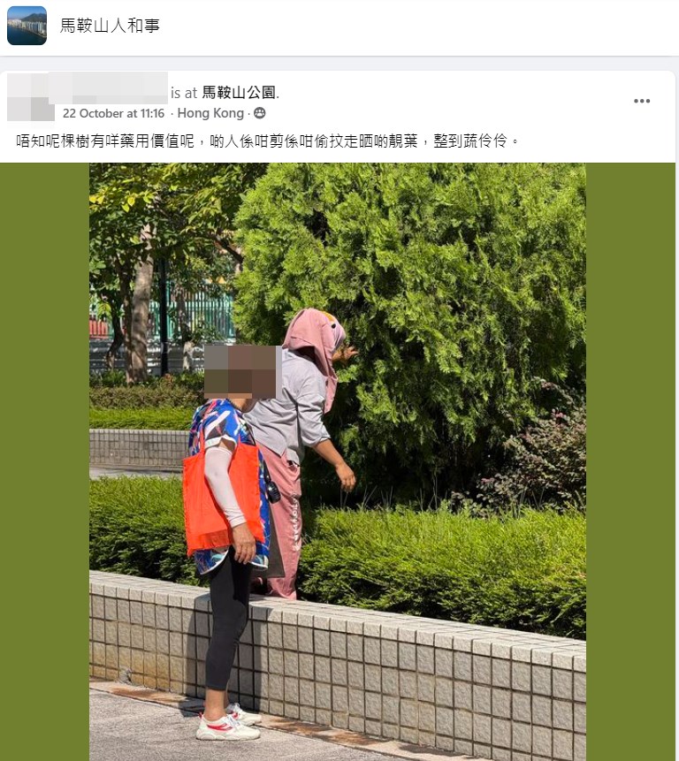 樓主帖文。fb「馬鞍山人和事」截圖