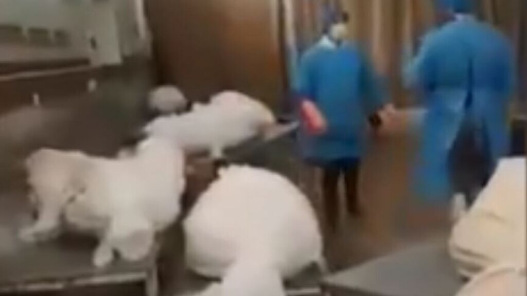 伊朗遺體堆積如山等候下葬。網上截圖