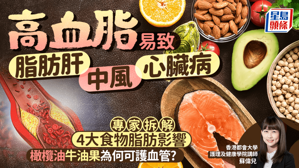 高血脂易致脂肪肝/中風/心臟病 專家拆解4大食物脂肪影響 為何橄欖油/牛油果可護血管?