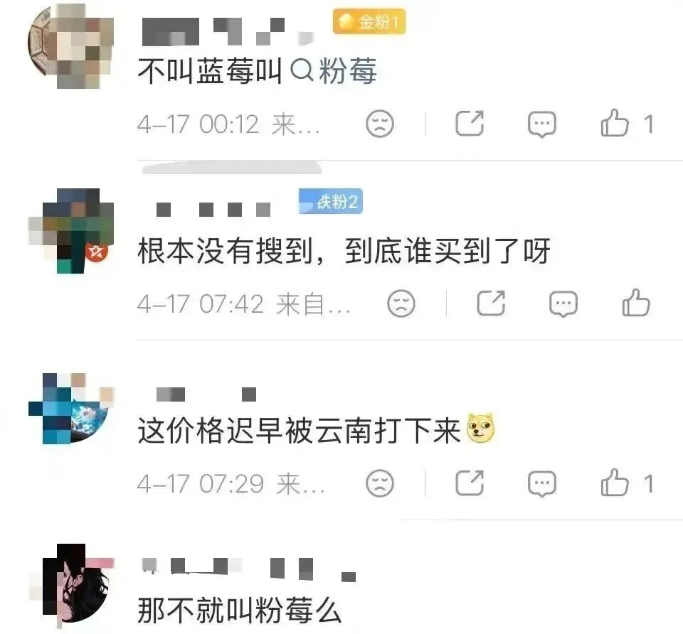 粉色蓝莓成网上热话。