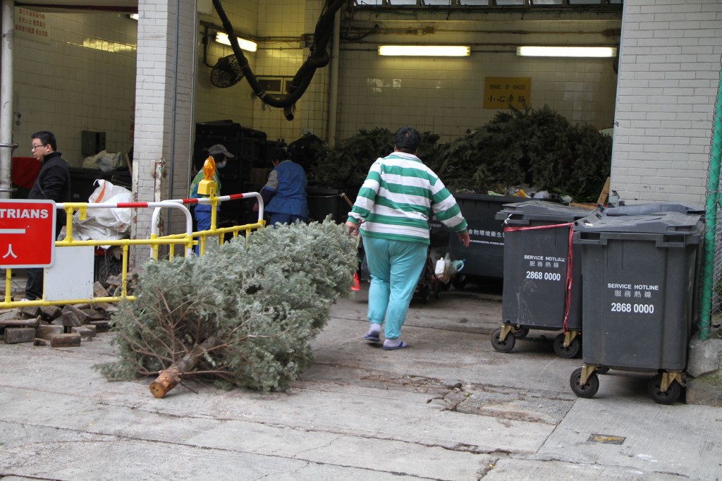 聖誕節過後，市民把聖誕樹丟棄至垃圾站。
