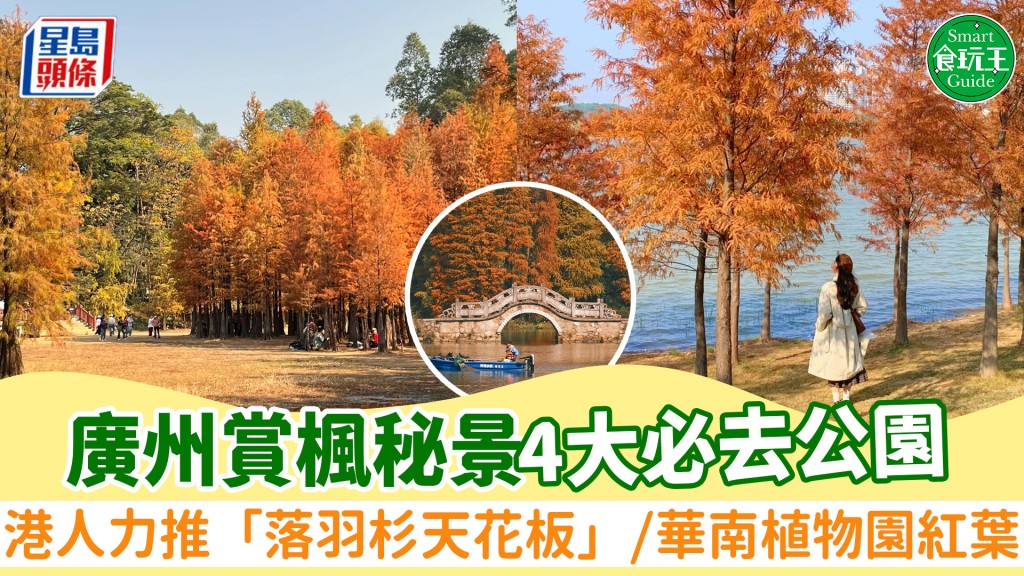 廣州紅葉2025｜廣州落羽松公園4大推介！港人力推「落羽杉天花板」/華南植物園賞楓秘景