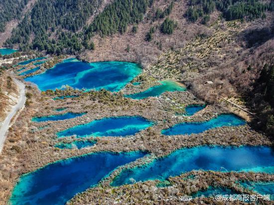 樹正群海。網圖