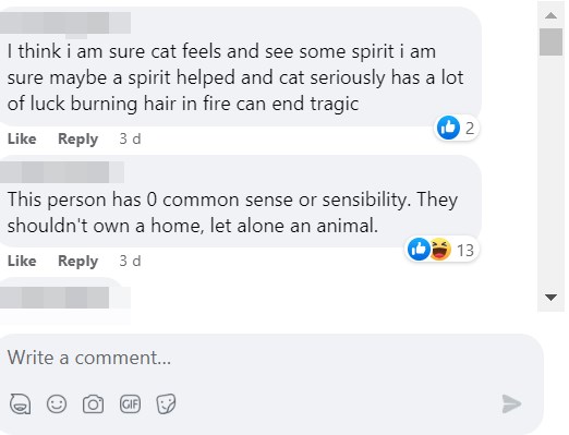 网民气愤地批评猫主无常识（common sense）。网上截图