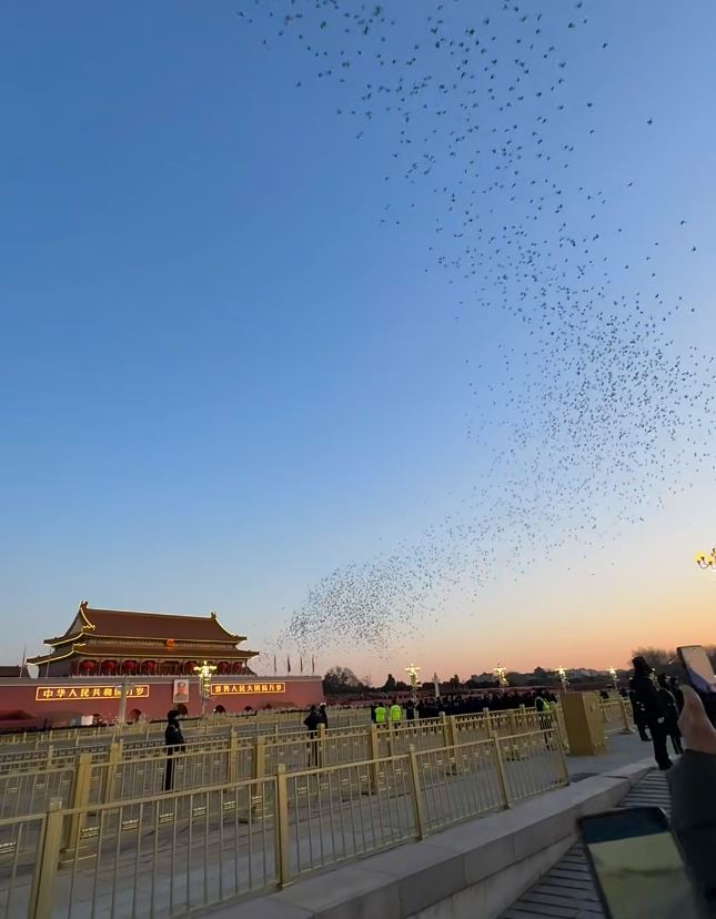 大批民眾在北京天安門廣場觀看元旦升旗。小紅書