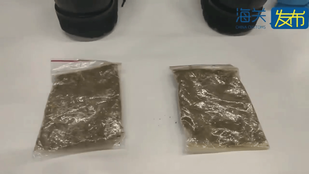 旅客被內地西九龍海關截查,發現鞋中藏兩包大麻。 旅客被內地西九龍海關截查,發現鞋中藏兩包大麻。