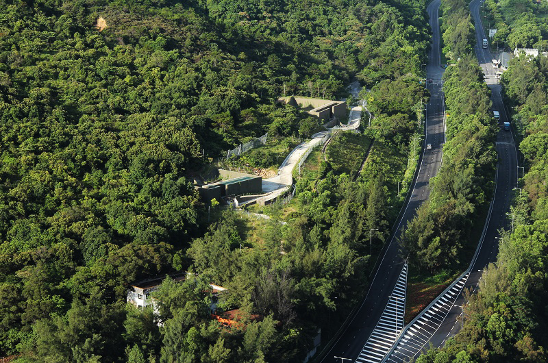 大屿山裕东路巩固斜坡后