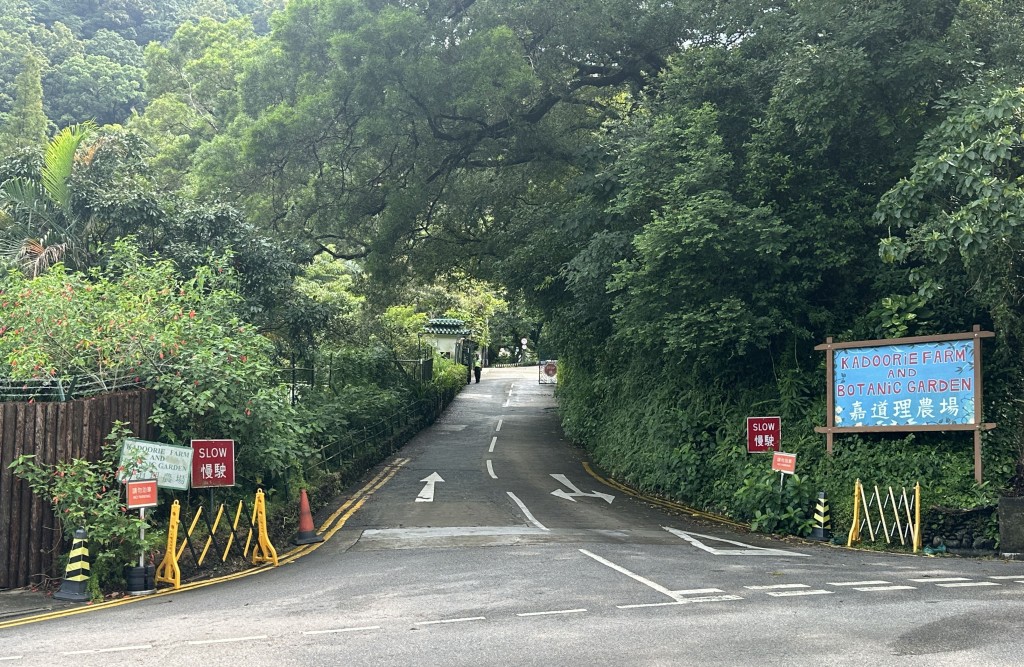 嘉道理農場為了保護褐林鴞的安全 ,決定暫時封閉相關道路,限制遊客接近該幼鴞及其父母。資料圖片 嘉道理農場為了保護褐林鴞的安全 ,決定暫時封閉相關道路,限制遊客接近該幼鴞及其父母。資料圖片