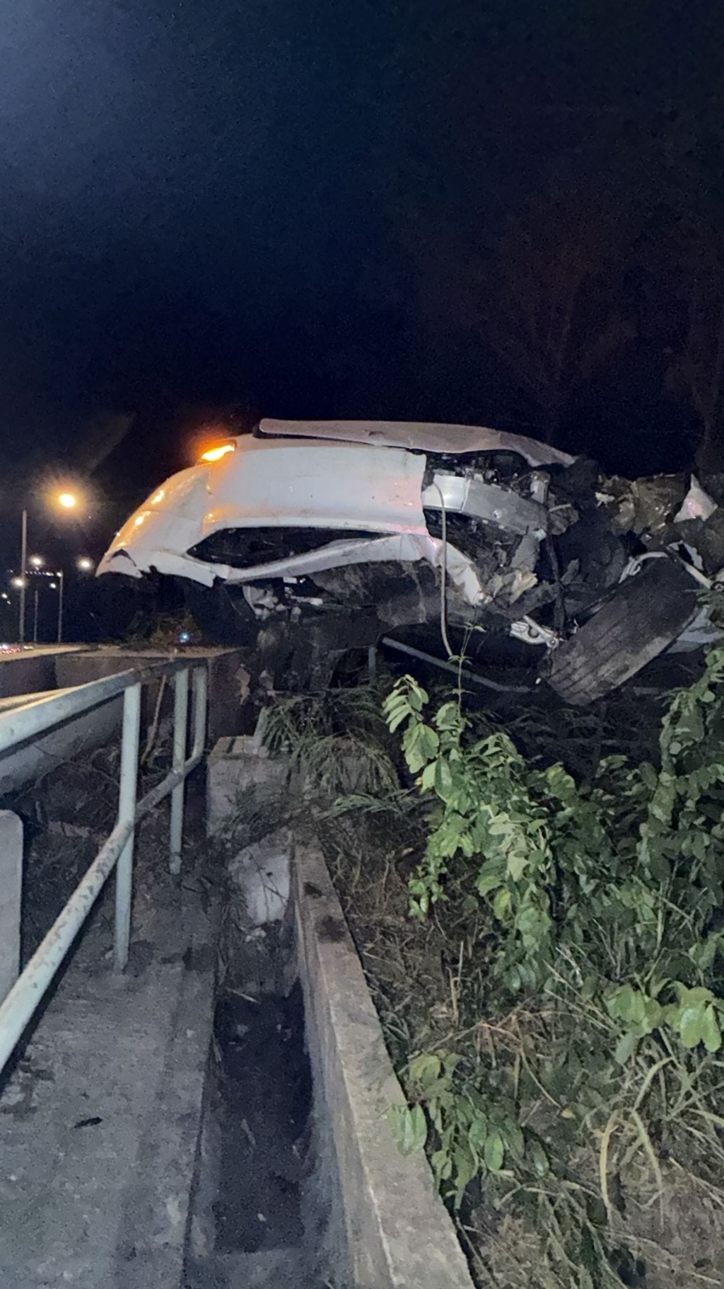 Tesla擱在草叢上，車頭嚴重損毀，機件明顯外露，車架扭曲，儼如廢鐵。蔡楚輝攝