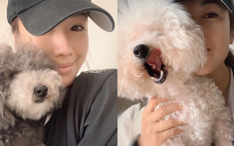 施嬅望兩愛犬一定要健康快樂。